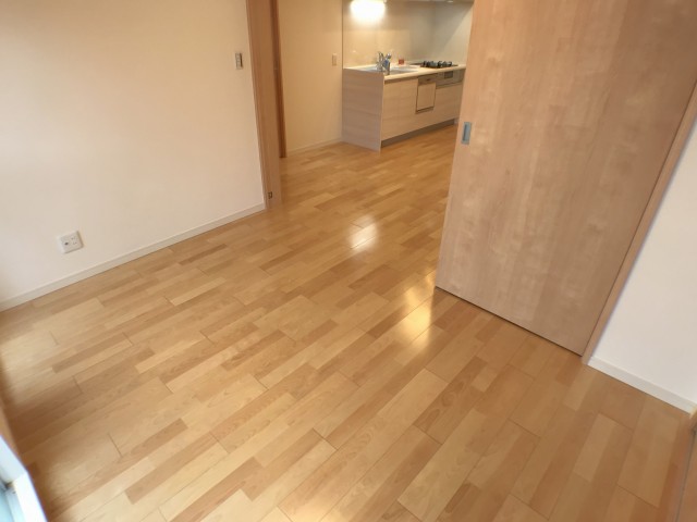 カーサ田原町 洋室①