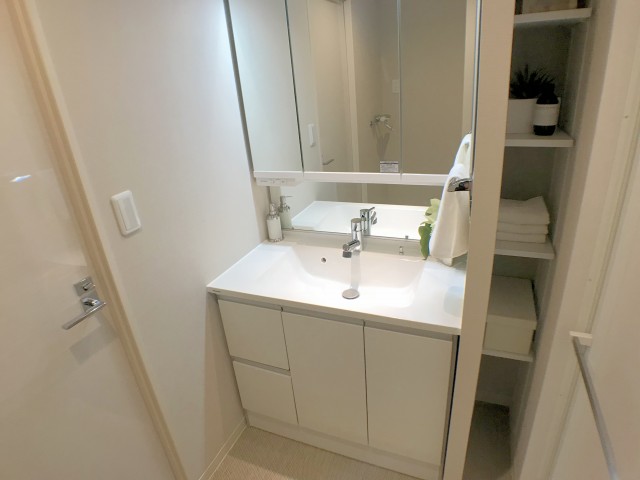 両国石原パ―クホームズ 洗面