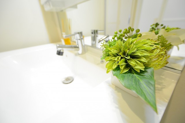 メゾンドール高田馬場 洗面