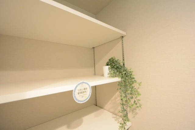 シティコープ豊洲 洗面室