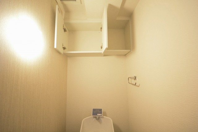 ミオカステーロ雪ヶ谷アルテパラッツォ トイレ