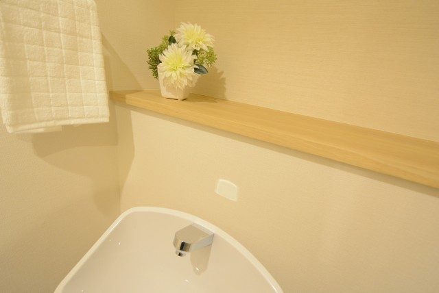 ライオンズガーデン幡ヶ谷 トイレ