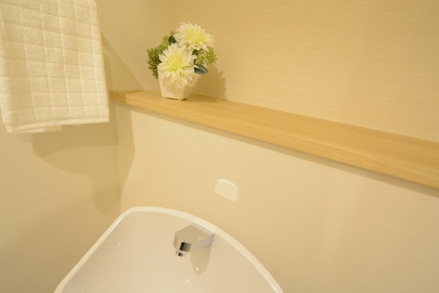 ライオンズガーデン幡ヶ谷 トイレ