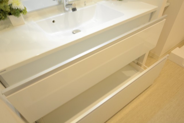 ライオンズガーデン幡ヶ谷 洗面