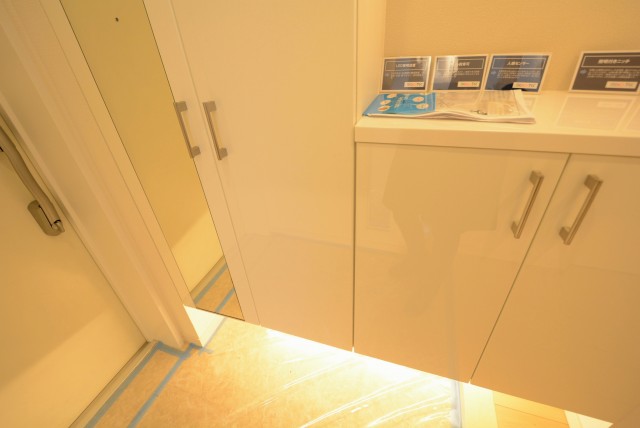 ミオカステーロ雪ヶ谷アルテパラッツォ 玄関