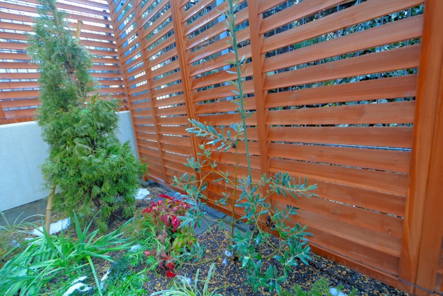 ライオンズガーデン幡ヶ谷 テラス