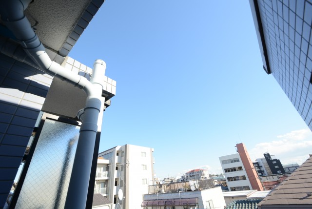 セザール第二西馬込 洋室３