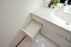 グラーサ駒沢大学 洗面