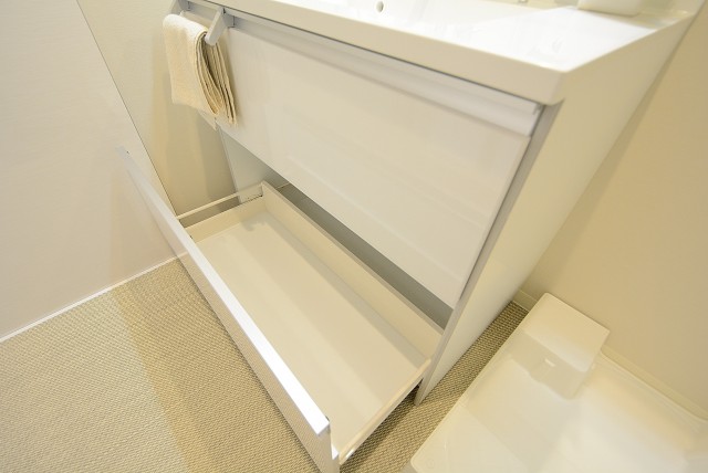 メゾンドール高田馬場 洗面