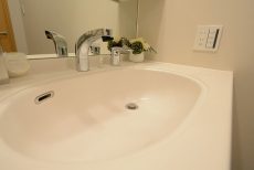 ライフレビュー大森 洗面