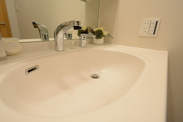 ライフレビュー大森 洗面