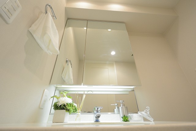 シティハウス新宿柏木　1R中古マンション