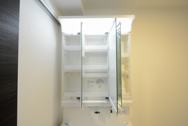 アルカサーノ南馬込 洗面