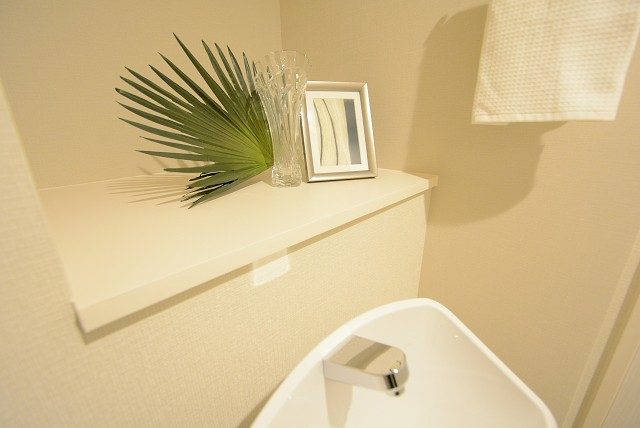 春日ビューハイツ トイレ