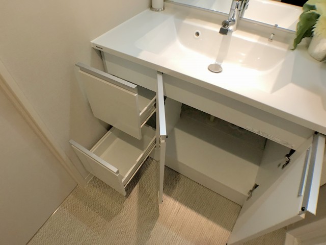 両国石原パ―クホームズ 洗面