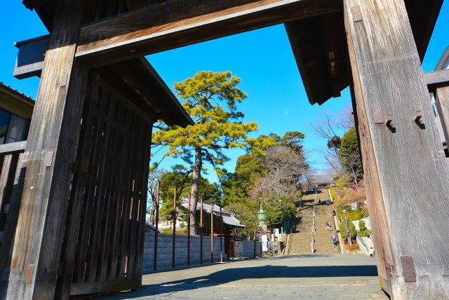 池上 本門寺