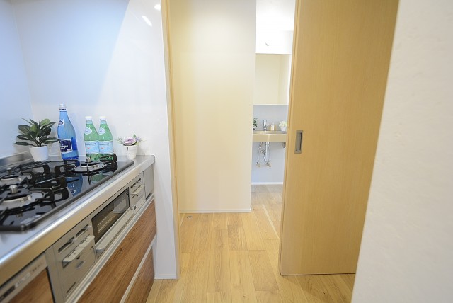 メゾンドール高田馬場 洗面