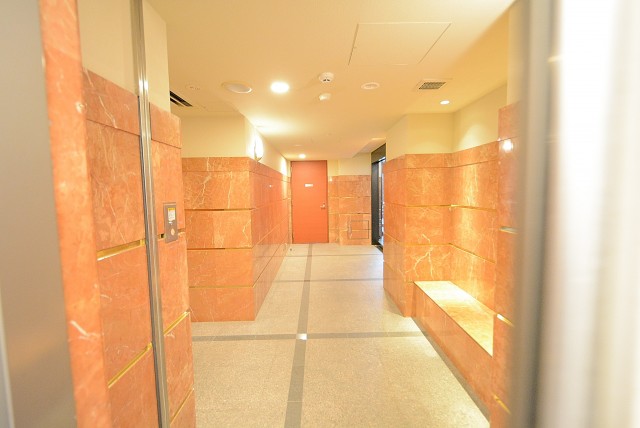 シティハウス新宿柏木 (23)エントランス