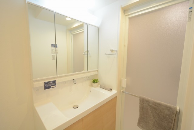 ライオンズマンション久が原第３ 洗面