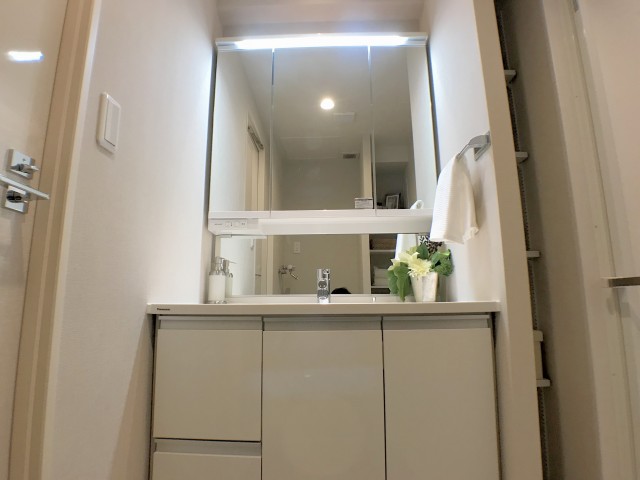 両国石原パ―クホームズ 洗面