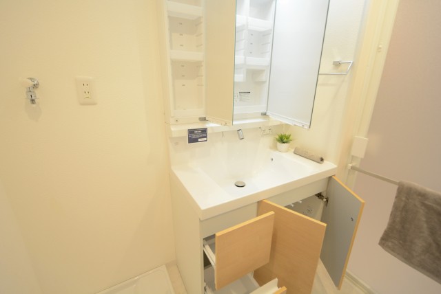 ライオンズマンション久が原第３ 洗面