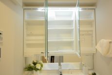 ライオンズガーデン幡ヶ谷 洗面