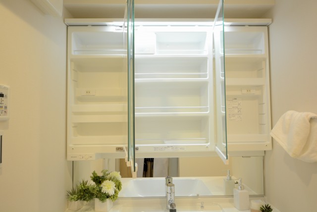 ライオンズガーデン幡ヶ谷 洗面