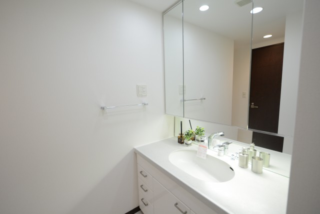 グラーサ駒沢大学 洗面