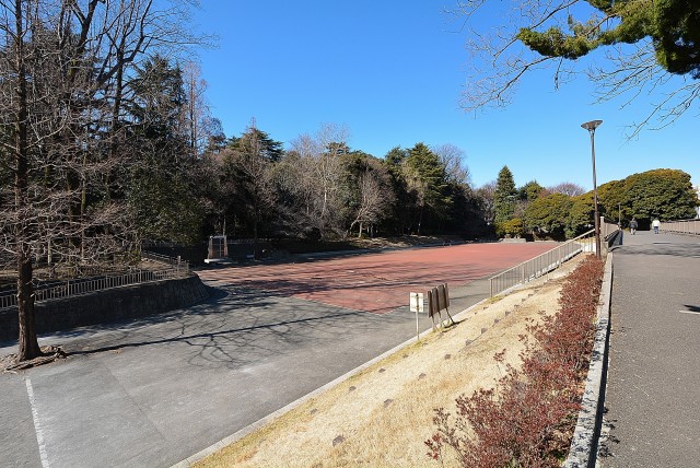 江古田の森公園