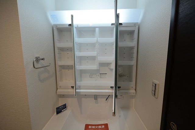 メガロン大森 洗面