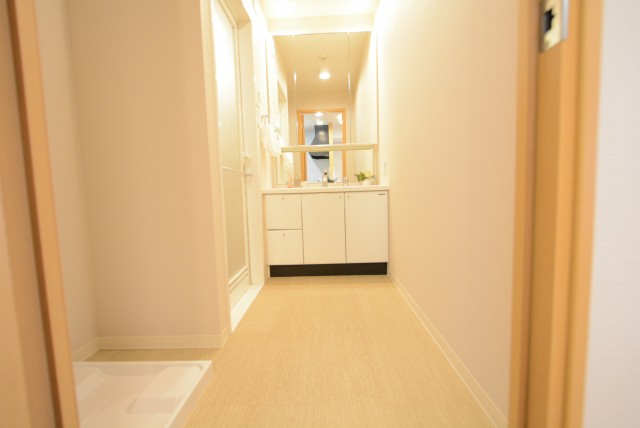 ライフレビュー大森 洗面