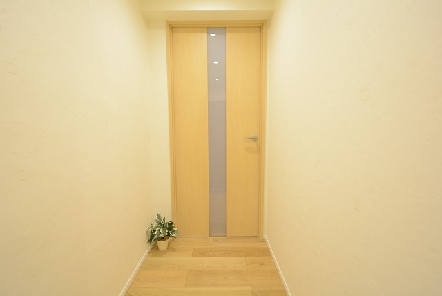 メゾンドール高田馬場 玄関