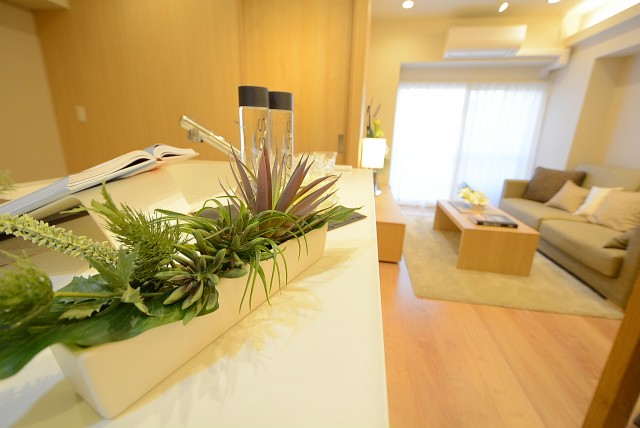 メゾンドール高田馬場 キッチン