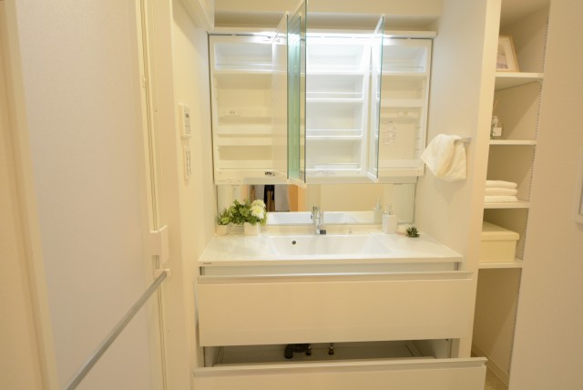 ライオンズガーデン幡ヶ谷 洗面