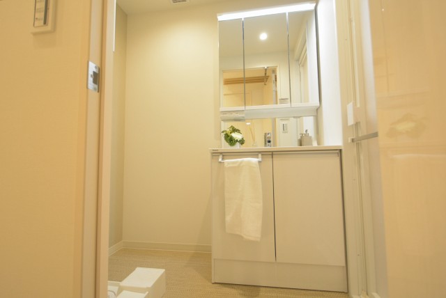 経堂ヒミコセラン 洗面