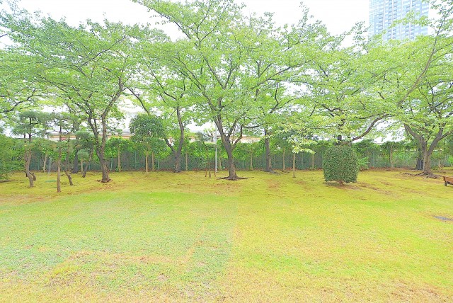 ファミール浜園 バルコニー