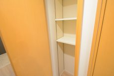 ライフレビュー大森 収納