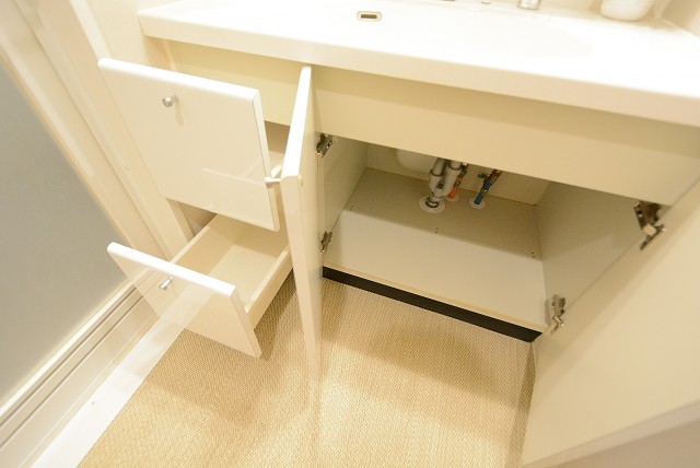 ライフレビュー大森 洗面