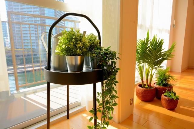 ファミール浜園 6