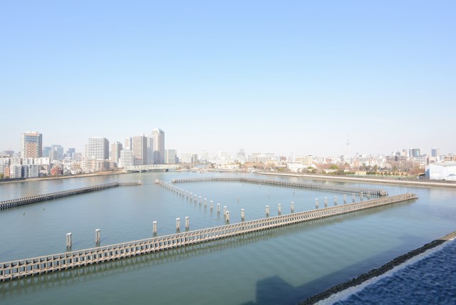 シティコープ豊洲 外廊下