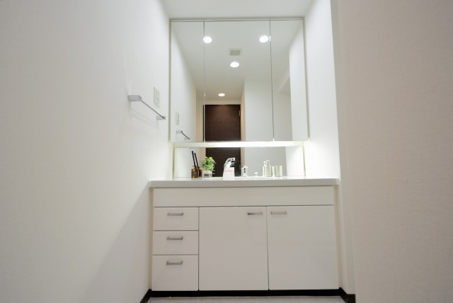 グラーサ駒沢大学 洗面