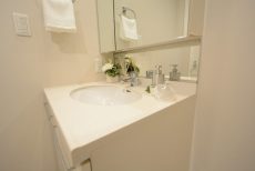 シティハウス新宿柏木　1R中古マンション