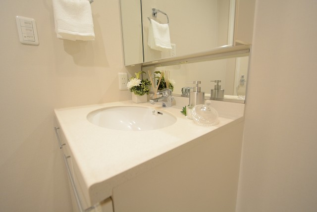 シティハウス新宿柏木　1R中古マンション