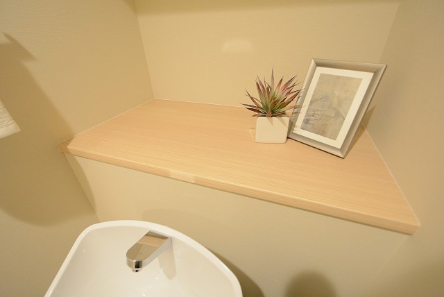 メゾンドール高田馬場 トイレ