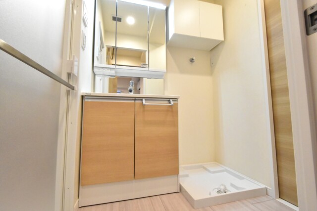 経堂ヒミコセラン 洗面室