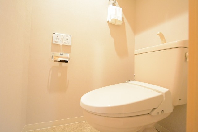 ライフレビュー大森 トイレ