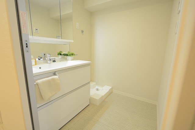 メゾンドール高田馬場 洗面