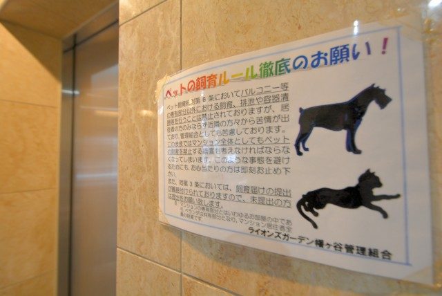 ライオンズガーデン幡ヶ谷 (14)エントランス