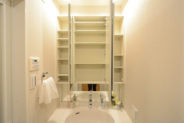 ライフレビュー大森 洗面