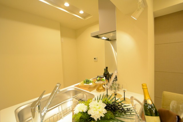 渋谷本町オリエントコートⅡ キッチン